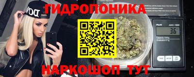 крисы Краснодар