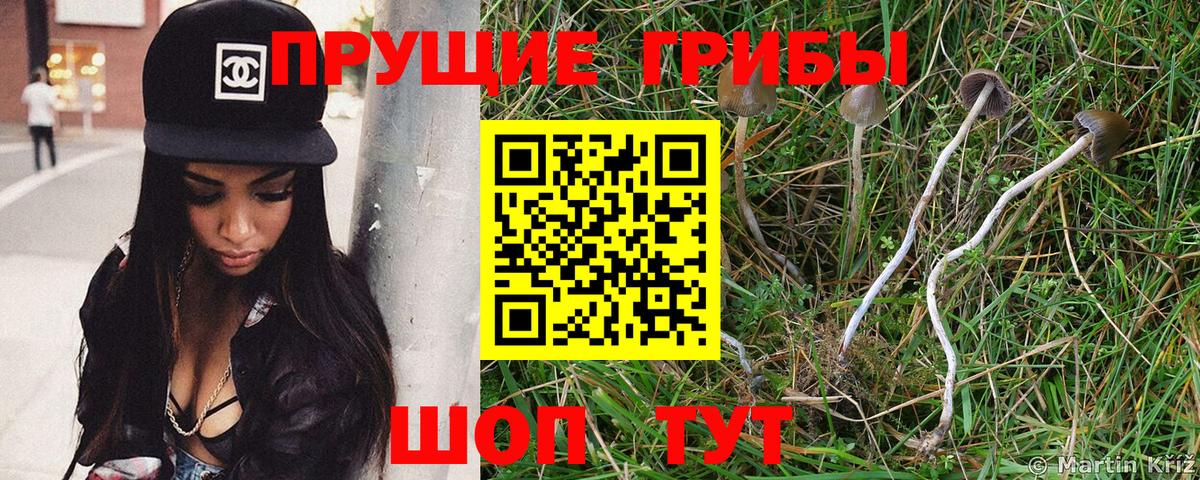 Кимовск  Галлюциногенные грибы MAGIC MUSHROOMS  Вход с VPN 