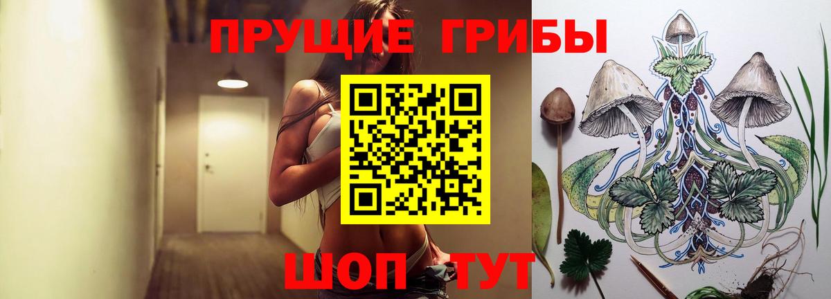 Псилоцибиновые грибы Psilocybe Кимовск