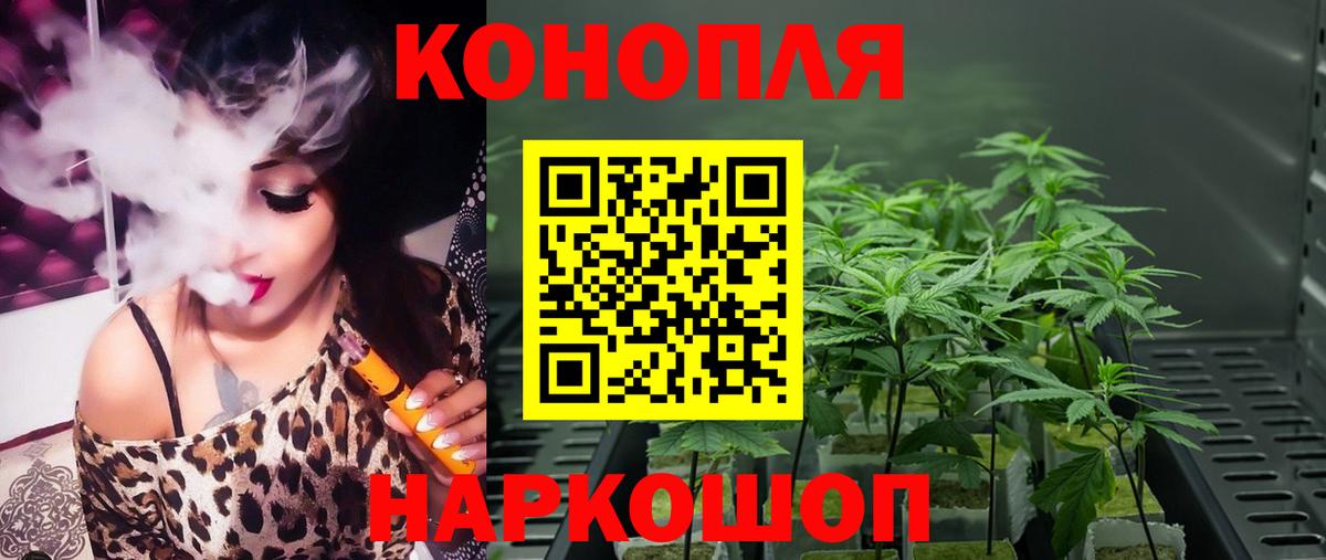 Кимовск  Шишки марихуана конопля  Марихуана Bruce Banner  Вход с VPN 